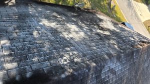 Roof Cleaning Services